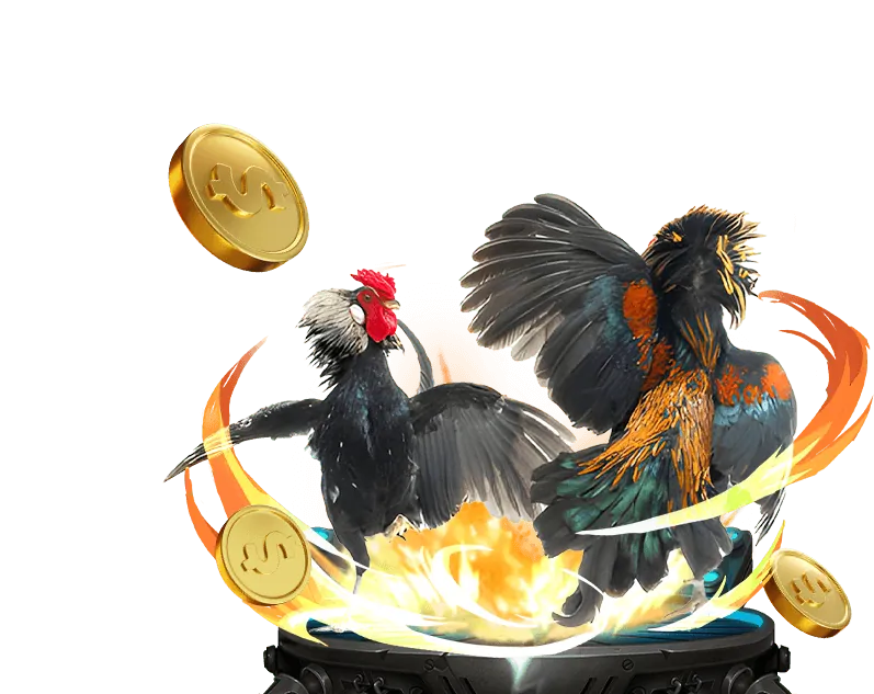 Bảng kèo cược đá gà đa dạng tại MCW